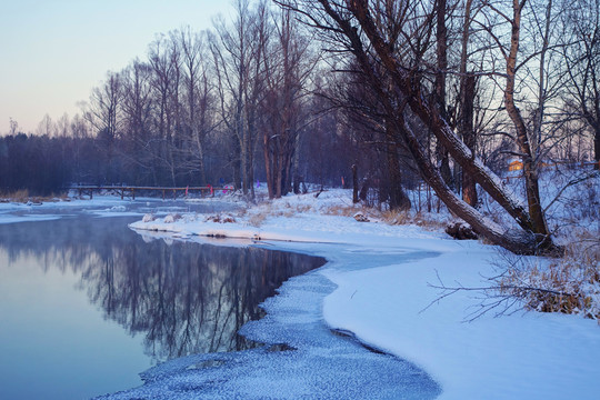 河流樹(shù)林雪景
