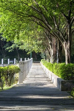 小路