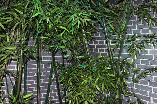 竹子 竹林 植物 富足 吉祥