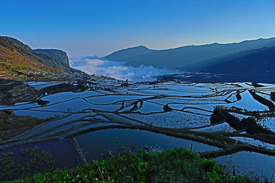 日出梯田