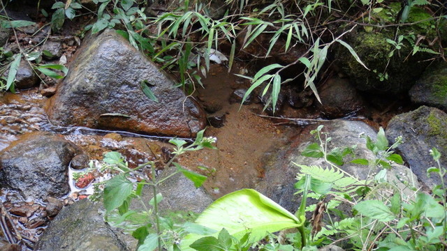 小溪