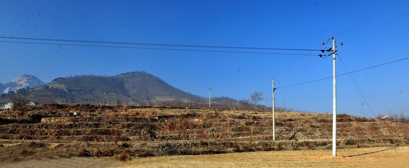 農(nóng)田