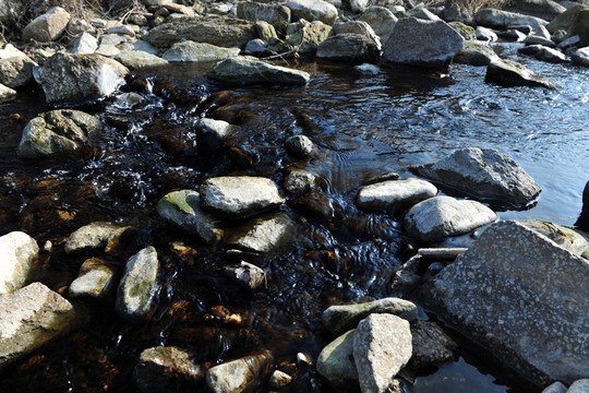 小河 河水