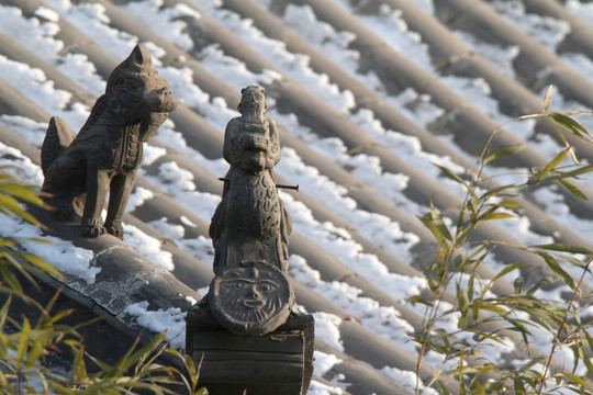 騎鳳仙人 屋面