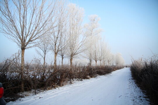 雪景 藍(lán)天 霧凇