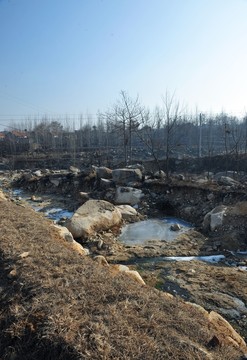 河岸 小河 小溪