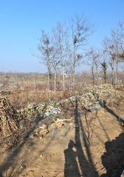 土壤 土地 耕地