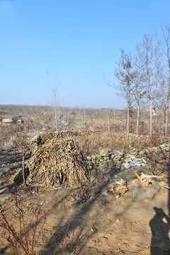 郊外 土地