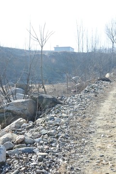 田野