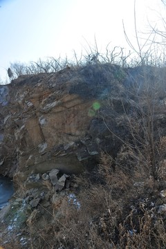 黃土