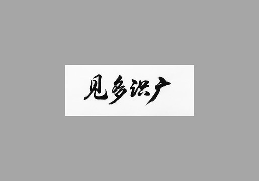 見多識廣