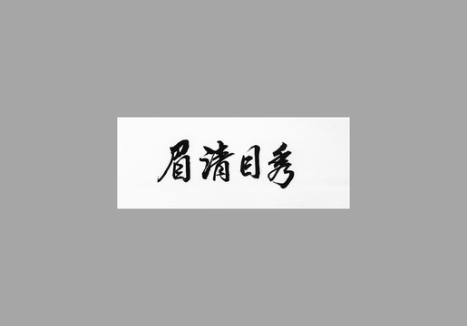 眉清目秀