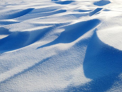 極寒呼倫貝爾草原積雪素材