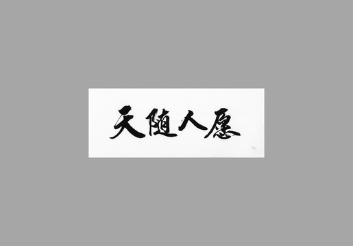 天隨人愿
