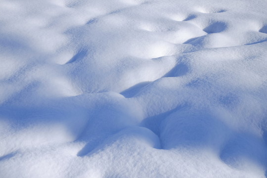 冬雪