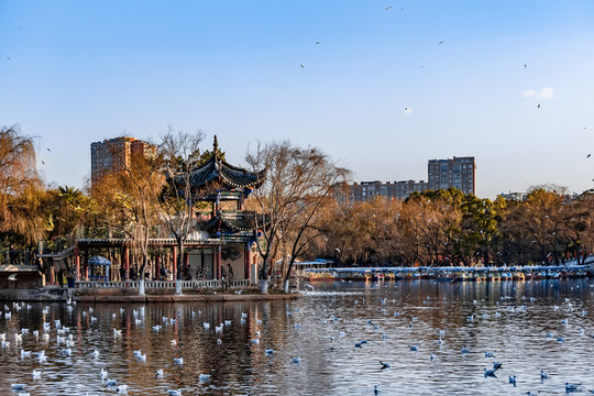昆明翠湖公園