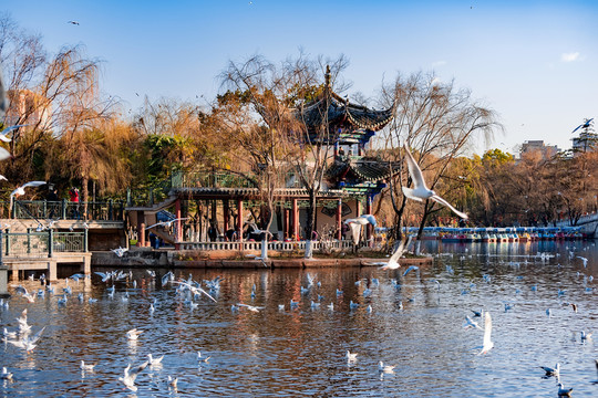 昆明翠湖公園