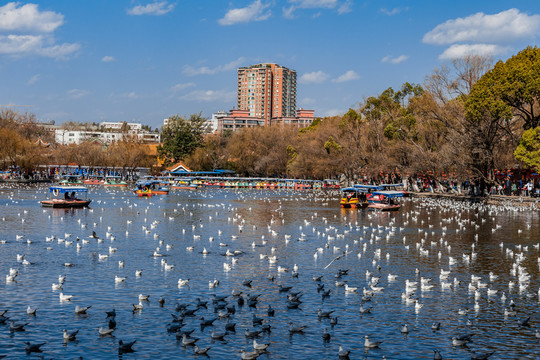 昆明翠湖公園