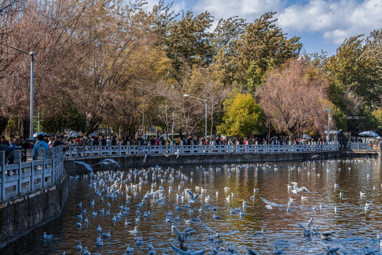 昆明翠湖公園