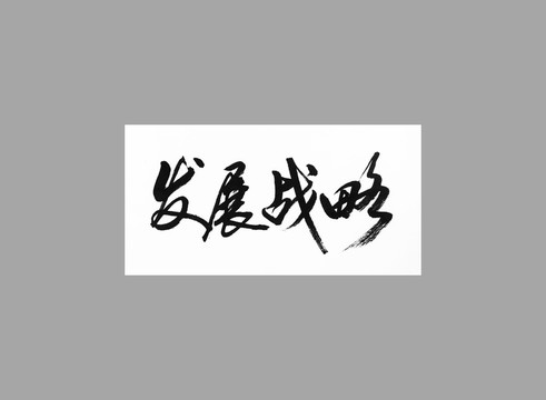 發(fā)展戰(zhàn)略