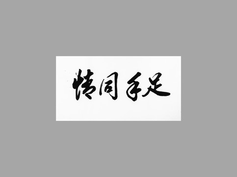 情同手足