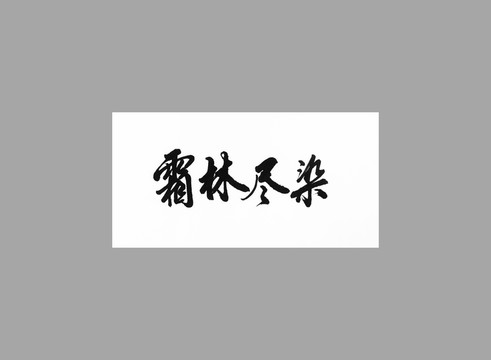 霜林盡染