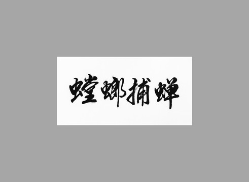 螳螂捕蟬