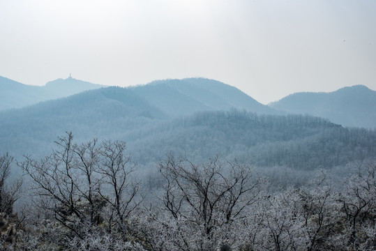 仰天山霧淞 冬 雪 霧淞 霧