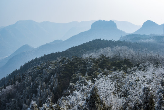 仰天山霧淞 冬 雪 霧淞 霧