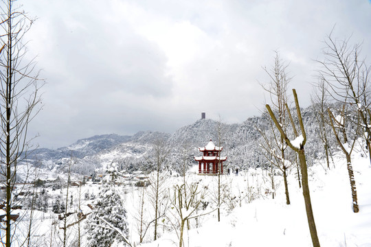 箐山公園雪景