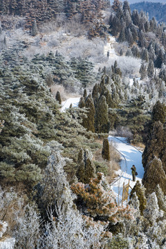 仰天山霧淞 冬 雪 霧淞 霧