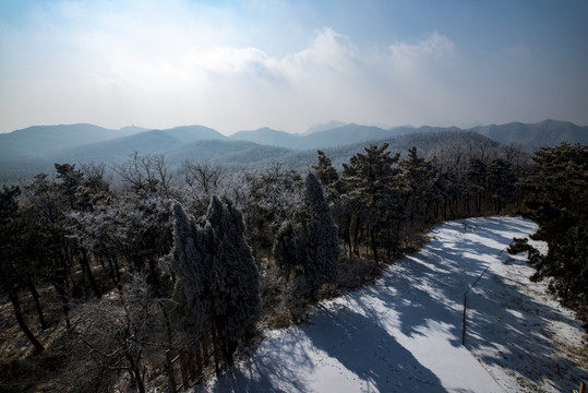仰天山霧淞 冬 雪 霧淞 霧
