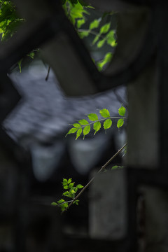 深閨里