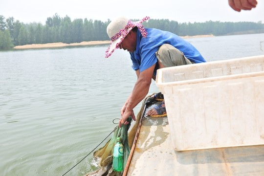 捕魚 撒網(wǎng)