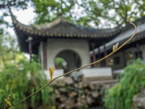 信有山林在市城