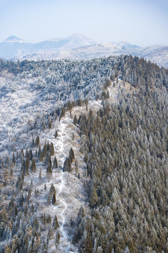 仰天山霧淞 冬 雪 霧淞 霧