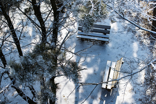 仰天山霧淞 冬 雪 霧淞 霧