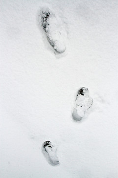 雪地腳印