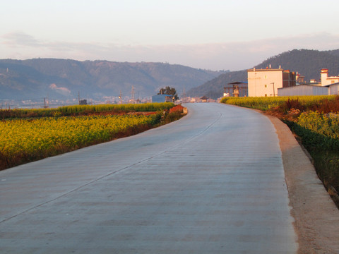 鄉(xiāng)間公路