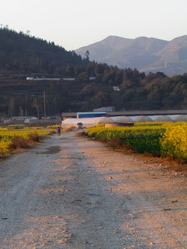 鄉(xiāng)間小路