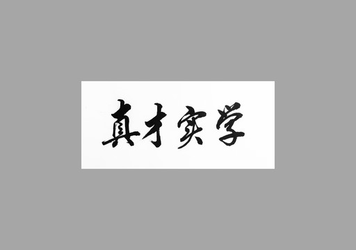 真才實(shí)學(xué)