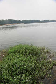 河岸風(fēng)光
