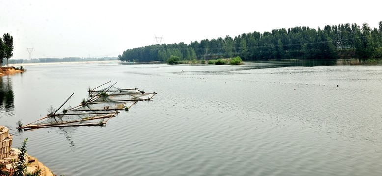 網(wǎng)箱養(yǎng)魚 漁業(yè) 湖面
