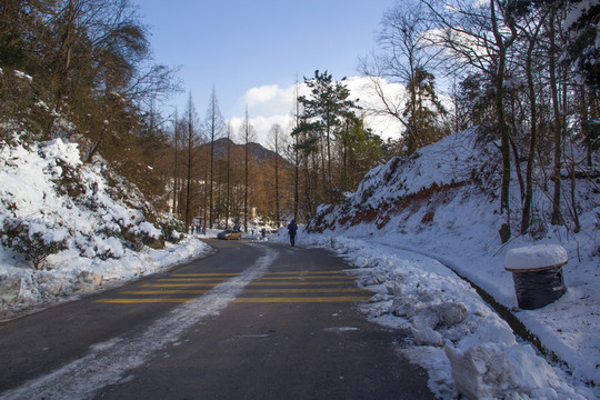 雪地美景道路