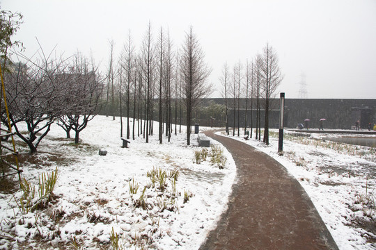 下雪天樹枝雪地積雪小路