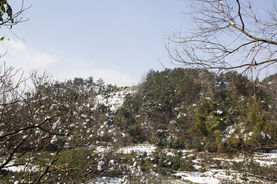 雪景 树枝 蓝天 小屋