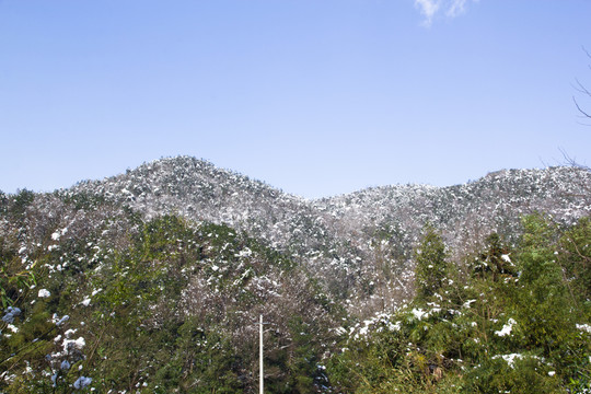 雪景 樹(shù)枝 藍(lán)天 小屋