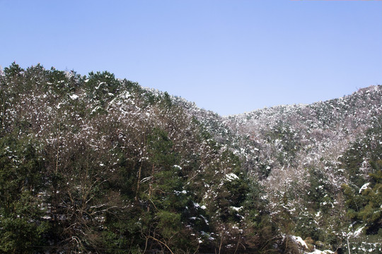 雪景 樹枝 藍(lán)天 小屋