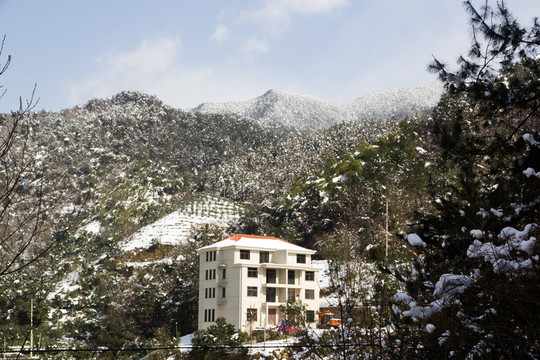 鄉(xiāng)村雪景 山岳 藍(lán)天白云樹