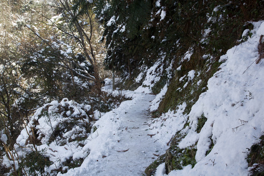 雪地風(fēng)景 小路 積雪鋪地